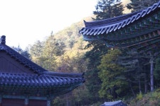 [休]백담사에서 나를 구원할 님을 만나다