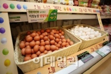 대형 마트·슈퍼 프레쉬에 사활 건다