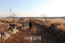 [休] 아름다워서 더 슬픈 마을, 제주의 보석 가시리
