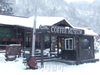 [休] 커피잔 속에 바다가 있는 도시, 강릉