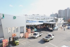 서울 강서농산물도매시장, 설 맞이 할인행사