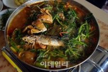 속살 드러낸 연천의 비경, 전흔의 상처마저도 감싸다