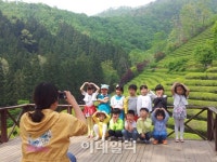 녹차향 가득한 보성녹차축제장으로 오세요~