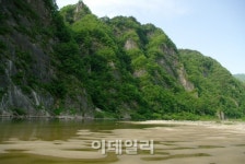 오손도손 이야기도 나누고 별도 헤아려 보고... 정선 자연학교 캠핑장