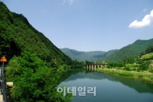 오손도손 이야기도 나누고 별도 헤아려 보고... 정선 자연학교 캠핑장