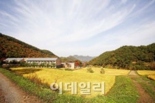 풀무원, 바른먹거리 배우는 캠프 연다