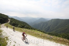 야생화 꽃 내음 가득한 하늘길을 걷다