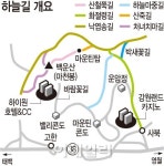 야생화 꽃 내음 가득한 하늘길을 걷다