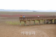 백련향·갯내음 가득한 남도의 멋 …전남 무안