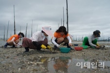 백련향·갯내음 가득한 남도의 멋 …전남 무안