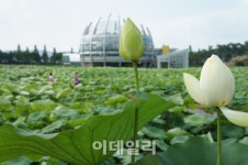 백련향·갯내음 가득한 남도의 멋 …전남 무안