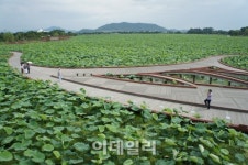 백련향·갯내음 가득한 남도의 멋 …전남 무안