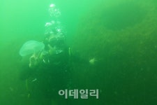 龍생무상…지구의 지배자들 발자국만 남았네