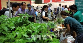 [포토]친환경 유기농 무역박람회 2013