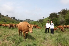 파르나스호텔, aT 식재료몰 통해 산지직거래