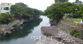 [국내여행]외도 월대천 축제 21일부터 열려