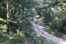 빠른에 잊힌 관동대로…옛 42번 국도를 아시나요