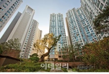 "미친 전셋값 피하려 집 샀는데…1억원 손해봤네"