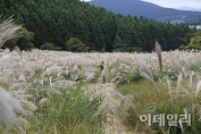 제주 탄생 신비를 벗긴다…수월봉·거문오름