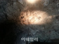 금맥따라 5km 구불구불..어둔 갱도속 숨은 金찾기