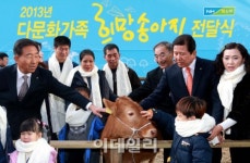 [포토]농협, 2013 다문화가족 희망송아지 전달식