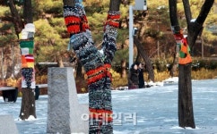 [포토]월동용 피복과 패션