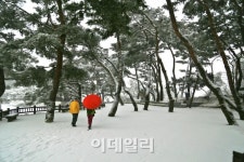 [여행] 한폭의 동양화 같아라…청풍명월 제천
