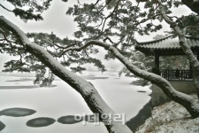 [여행] 한폭의 동양화 같아라…청풍명월 제천