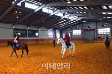 청마의 해 말이 있어 여행도 즐겁다, 경기도 추천여행