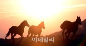 [2014 갑오년] 보았는가 푸른 갈기가 품은 뜨거운 해를