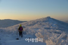 백두대간 마금루 따라 새날을 맞다…눈꽃성지 강원 태백