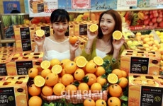 [포토]롯데마트, 고당도 오렌지 20% 저렴하게
