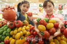 [포토]롯데마트, 이색 토마토 최대 30% 할인 판매