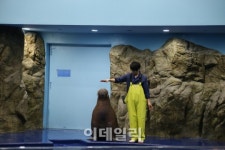 뛰는놈 나는놈 헤엄치는놈…한화 아쿠아플라넷 일산