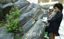 [포토]예술로 다가온 자연