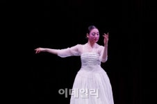 [포토]박건희의 춤, 담장 옆 국화꽃