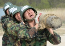 '군대=대학' 군 복무 기간 '학점'으로 인정받는다