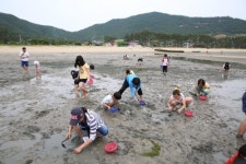 올 여름, 가상농장 농작물로 건강한 밥상 차린다