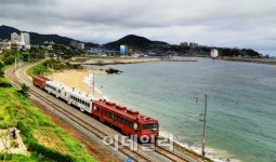 덜컹 기차에 몸싣고 동해 비경속으로…바다열차