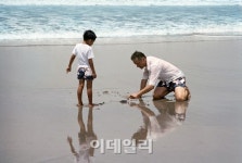 [포토]멸종 위기의 바다 거북을 보호할 수 있는 플랜트 어 피시(Plant a Fish) 캠페인