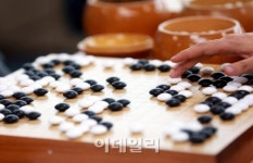[돌의한수⑤] 포석·착수·사활·패착…이것이 바둑의 말