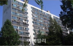 초과이익 환수 폐지 기다릴바엔~..재건축 단지 사업속도 낸다