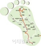 한여름 태백을 찾아야 하는 네 가지 이유…야생화트레킹