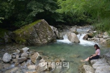 계곡물에 발 담그니 여기가 무릉도원이어라
