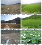 전남 주암호 인근 생태습지 조성…수질개선 일석이조