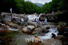 산이 깊어 아픔도 깊어라…전북 장수 여행