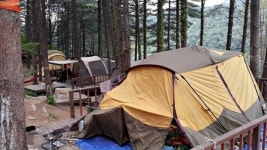 잣나무 숲에서 즐기는 쿨 캠핑여행_포천 유식물원오토캠핑장