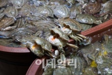 [인천AG] 인천 맛거리 완전정복