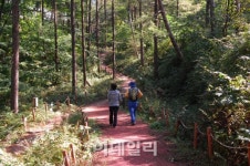 횡성에 한우만 있는게 아니더라…호수·숲·바람 여행