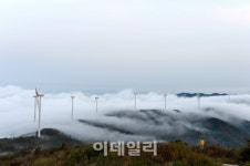횡성에 한우만 있는게 아니더라…호수·숲·바람 여행